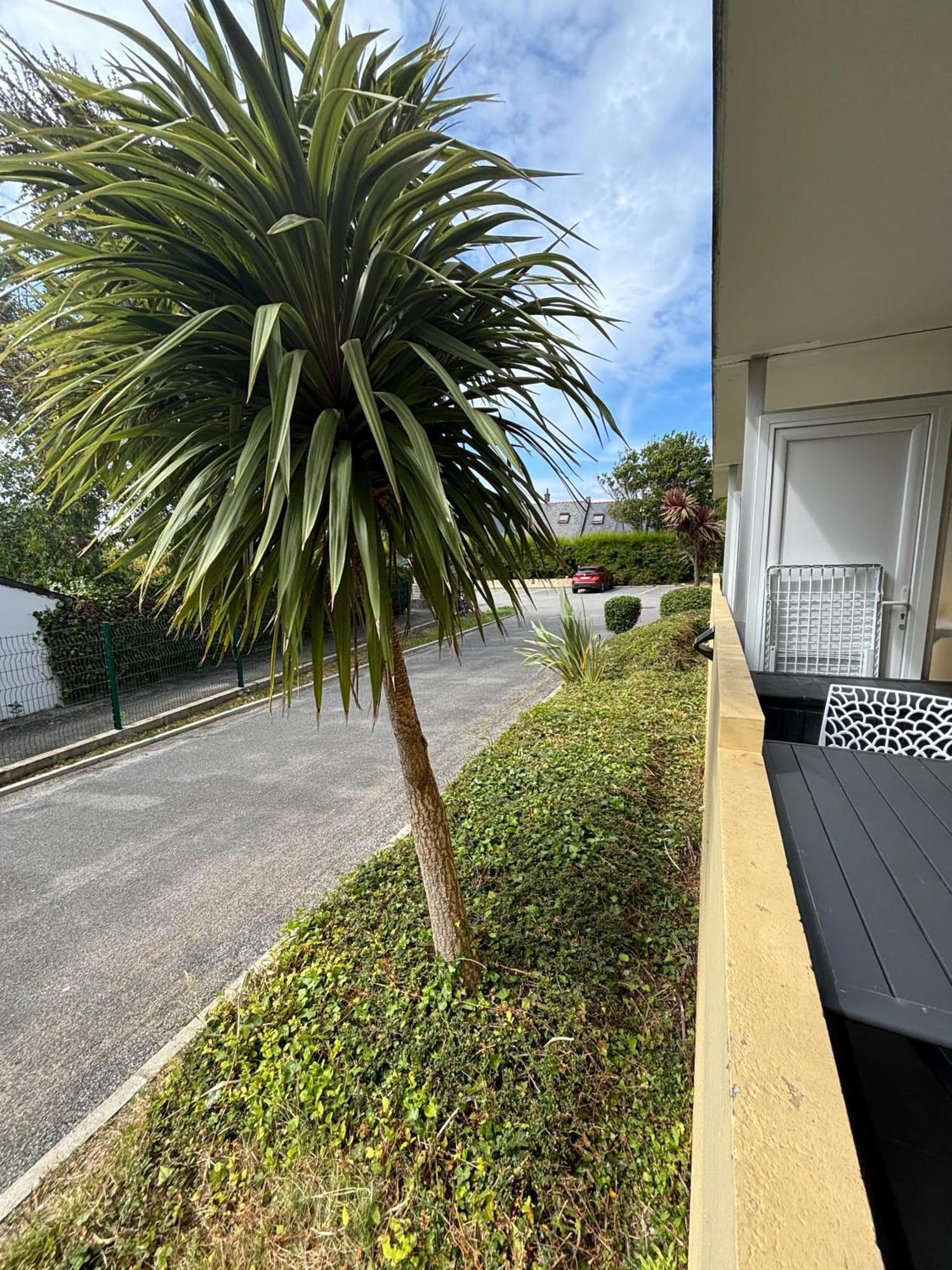 Appartement Studio 4 Personnes Dans Residence Avec Piscine Quiberon Eksteriør bilde